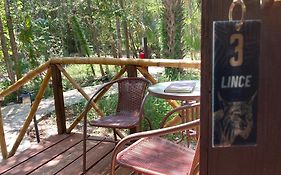 Selva Teenek Eco-Park